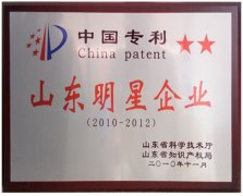中国专利山东明星企业